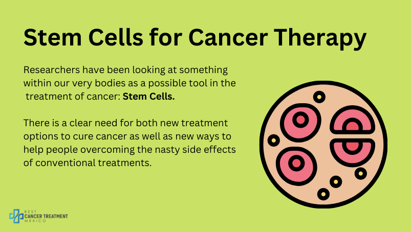 Stem Cells for Cancer Therapy