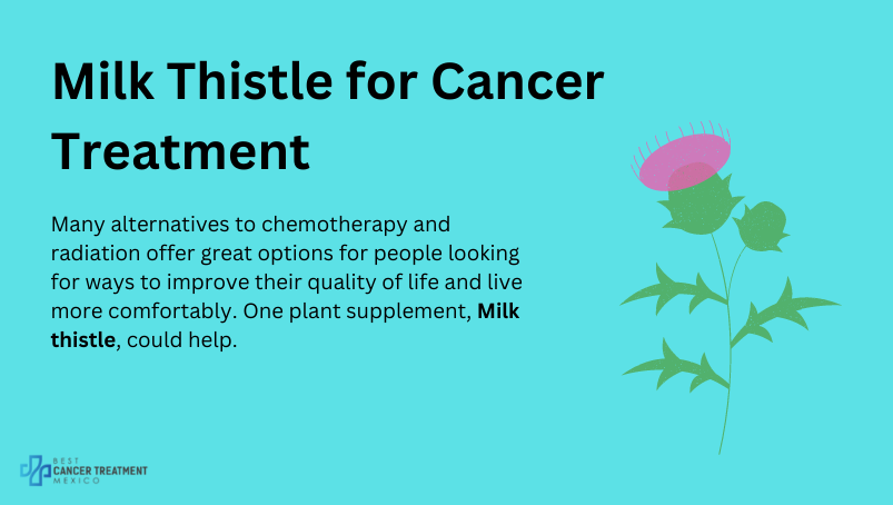 Milk Thistle for Cancer Treatment