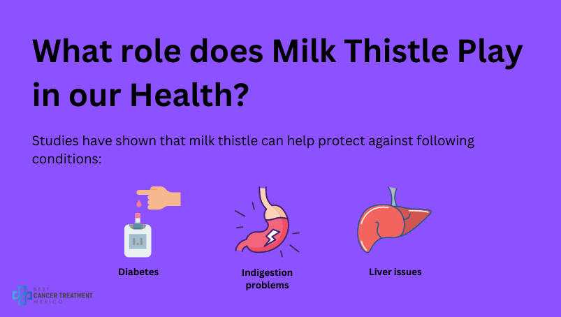 What role does milk thistle play in our health?