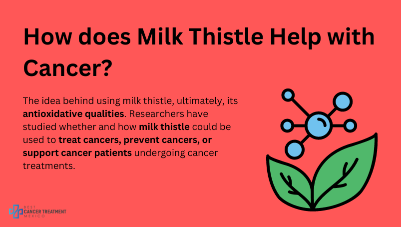 How does milk thistle help with cancer?