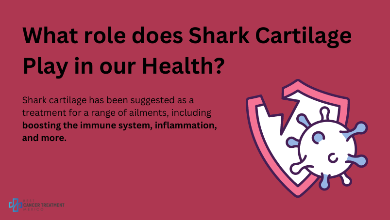 What role does shark cartilage play in our health?