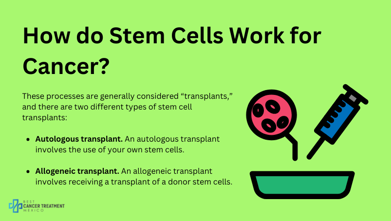 How do stem cells work for cancer?