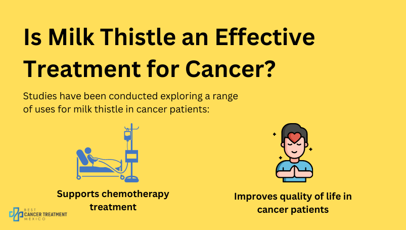 Is milk thistle an effective treatment for cancer?