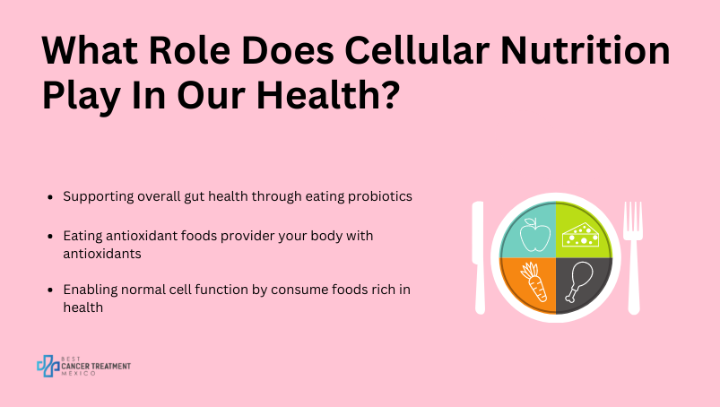 What role does cellular nutrition play in our health?