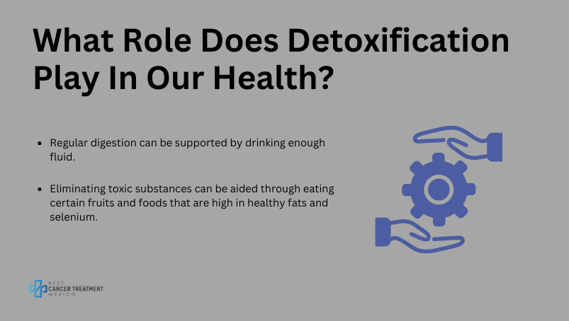 What role does detoxification play in our health?