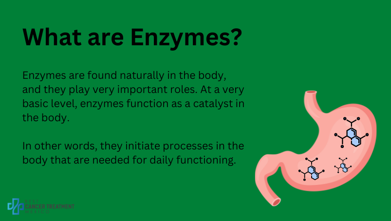 What are enzymes?