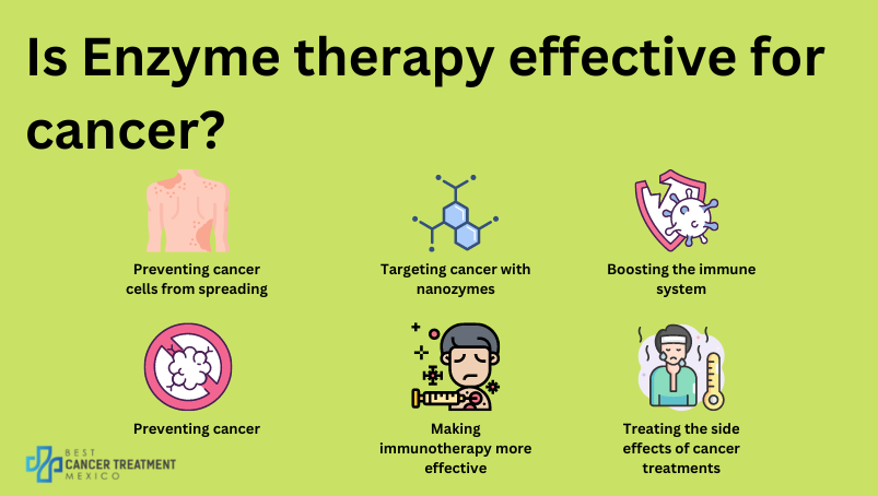  Is enzyme therapy effective for cancer?